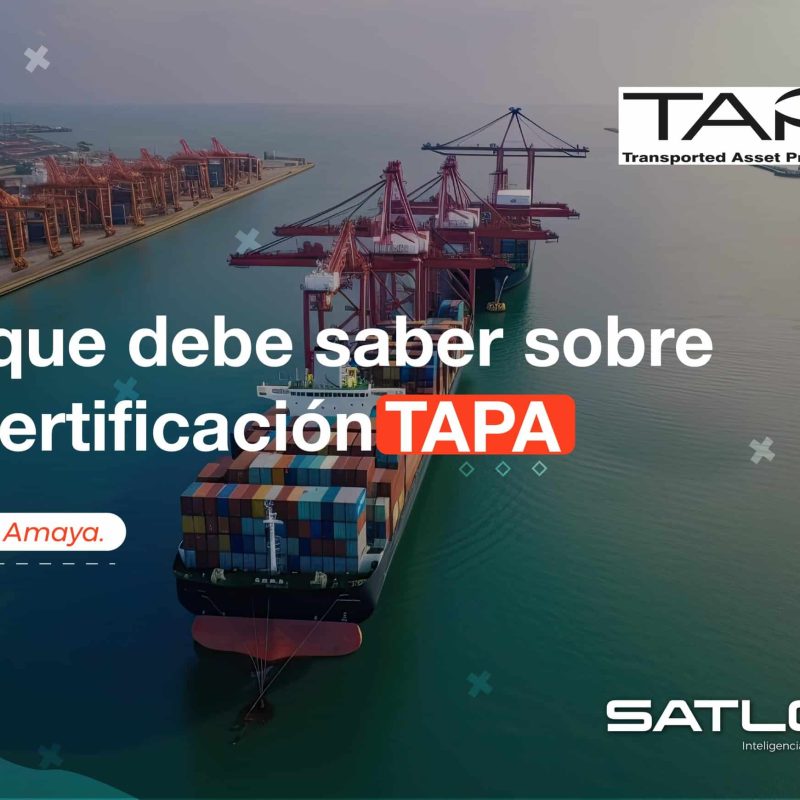 TAPA 17 17