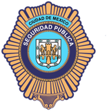 Seguridad Pública Ciudad de México